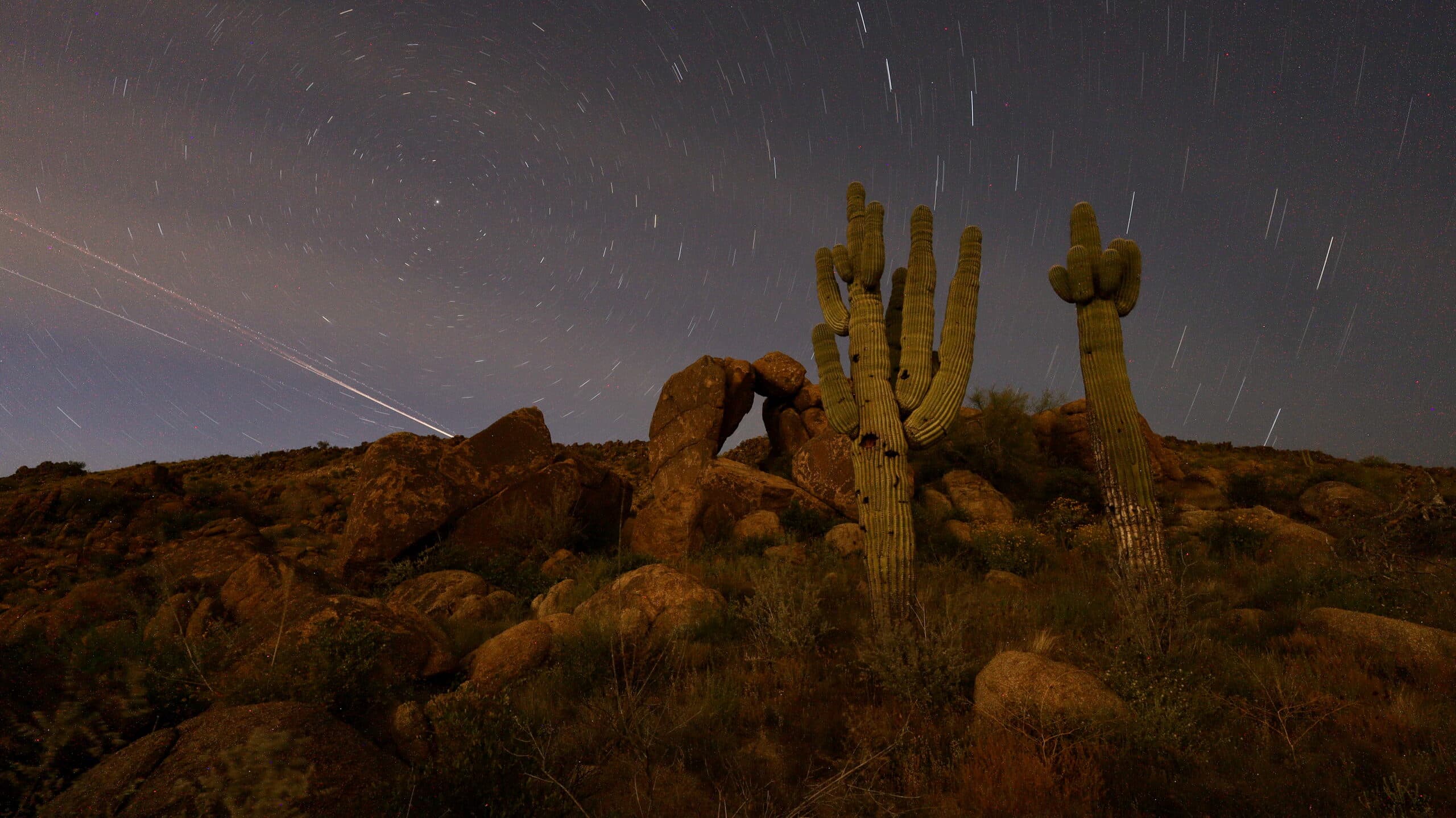 Arizona desert landscape at night with cacti and star trails